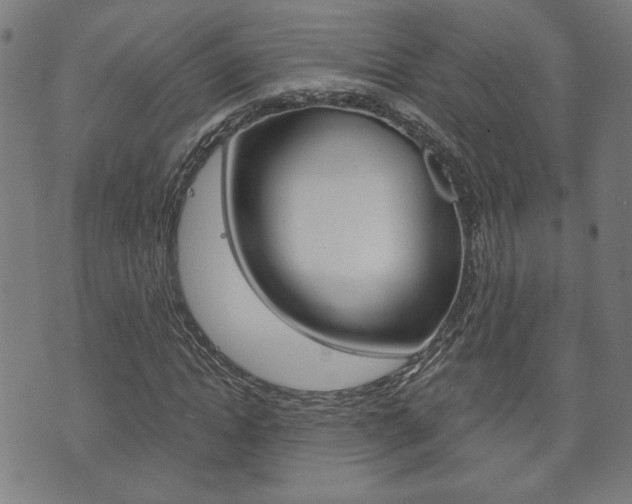 X0000073760822200608031108