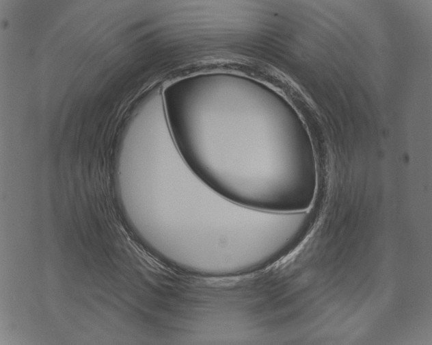 X0000073760825200608031108