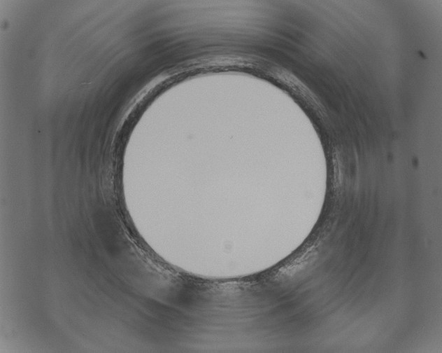 X0000073760828200608031108