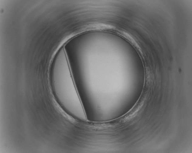 X0000073760843200608031108