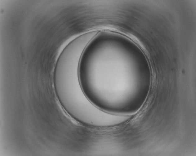 X0000073760862200608031108