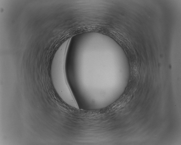 X0000073760865200608031108