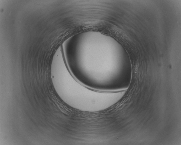 X0000073760868200608031108