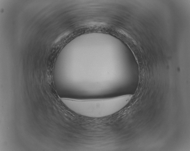 X0000073760869200608031108