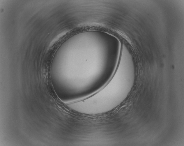 X0000073760872200608031108