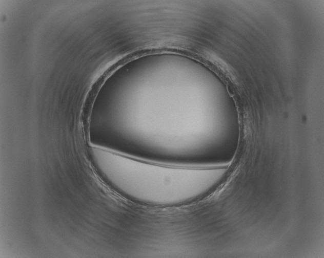 X0000073760876200608031108