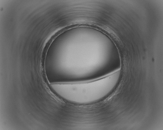 X0000073760880200608031107