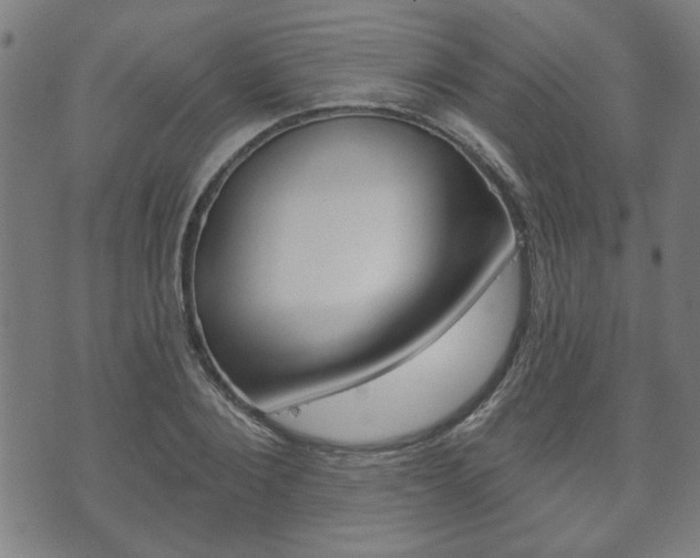 X0000073760884200608031107