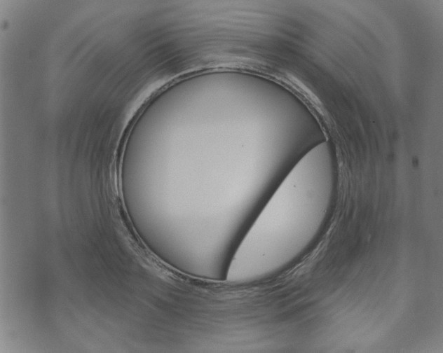 X0000073760891200608031107