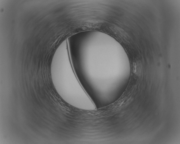 X0000073760915200608031106