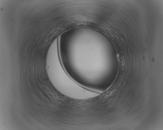 X0000073760916200608031106