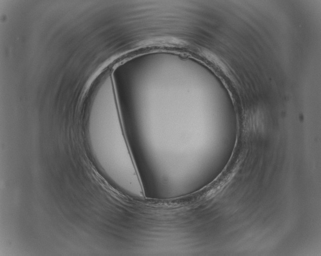 X0000073760923200608031106
