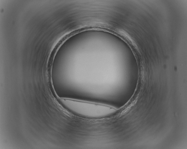 X0000073760924200608031106