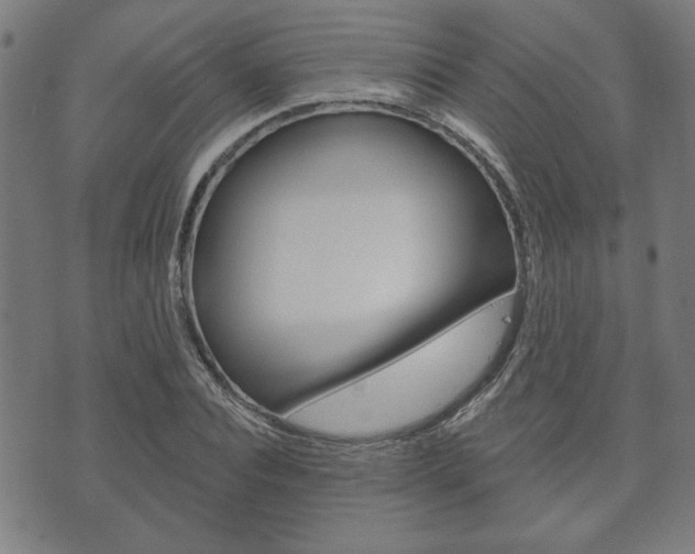X0000073760928200608031106