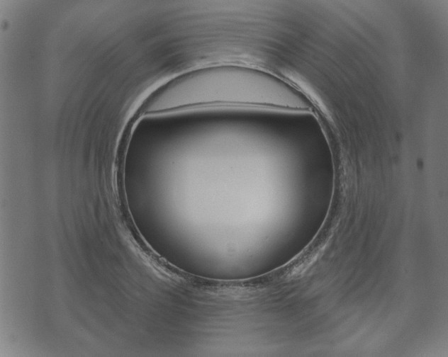 X0000073760932200608031106