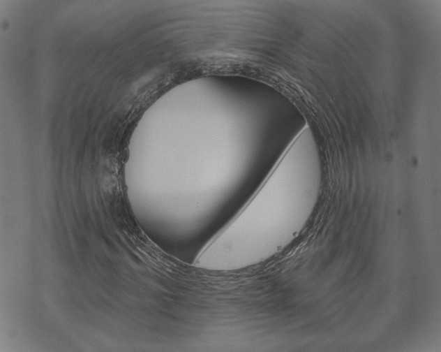 X0000073760964200608031106