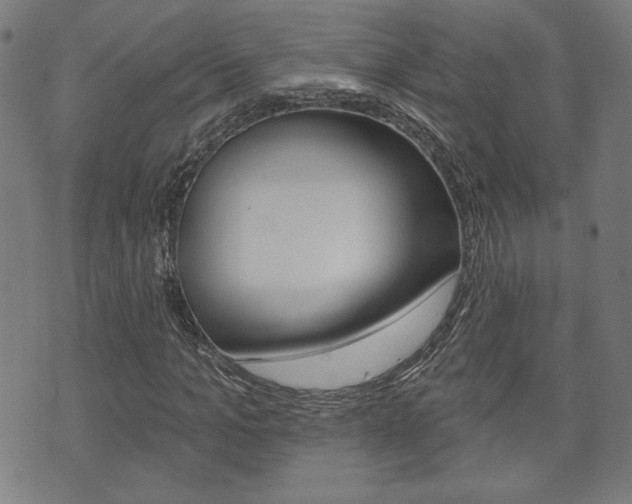 X0000073760965200608031106