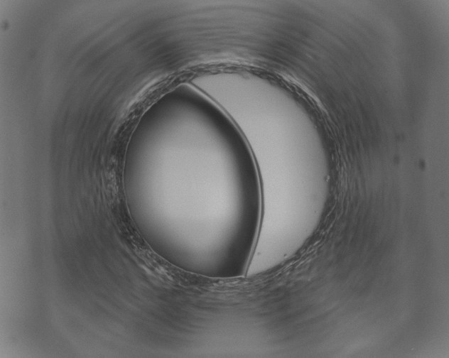 X0000073760968200608031106