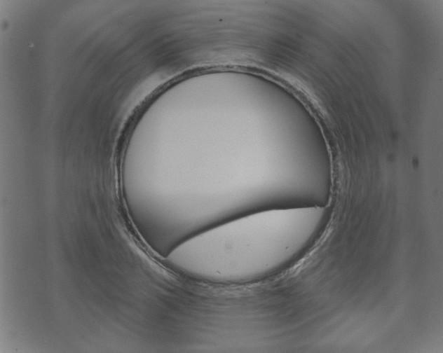 X0000073760982200608031106