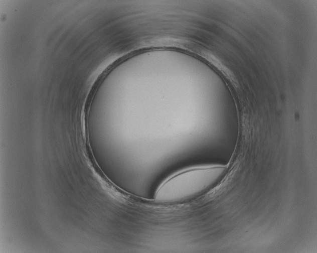 X0000073760988200608031106