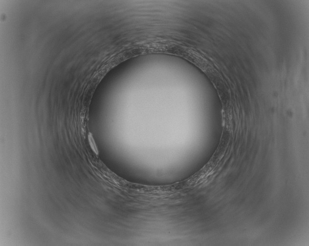 X0000073761010200608031105