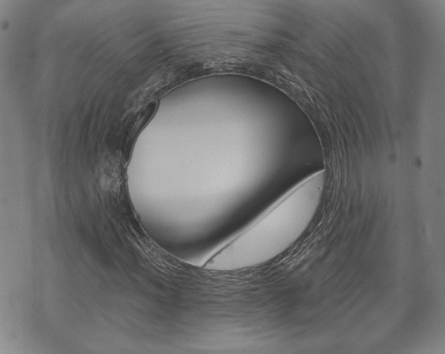 X0000073761012200608031105