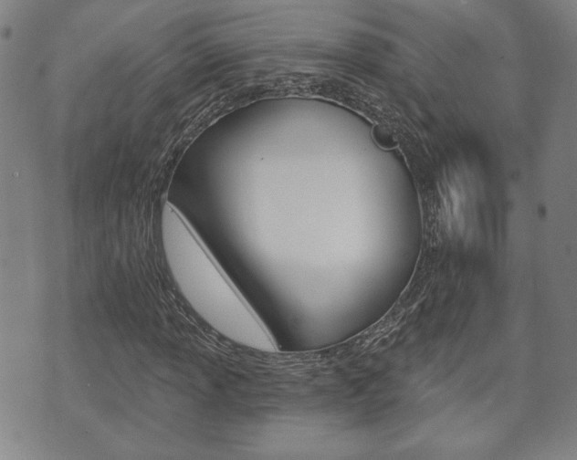 X0000073761013200608031105