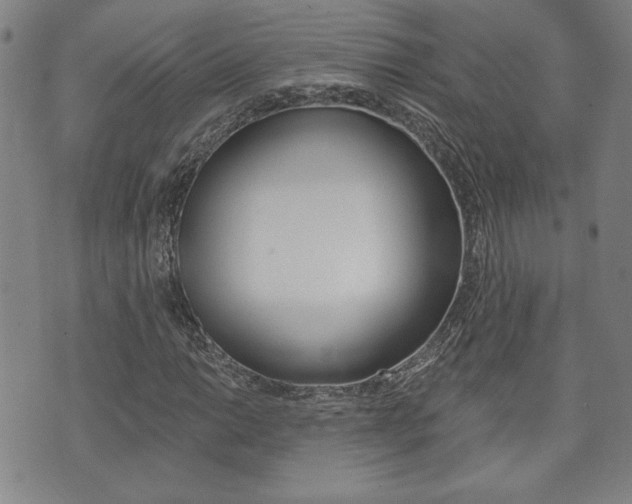 X0000073761014200608031105