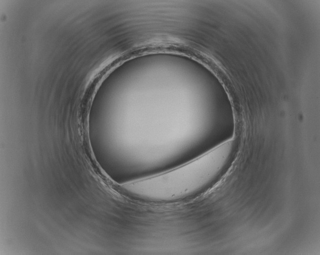 X0000073761018200608031105