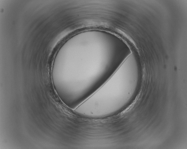 X0000073761021200608031105
