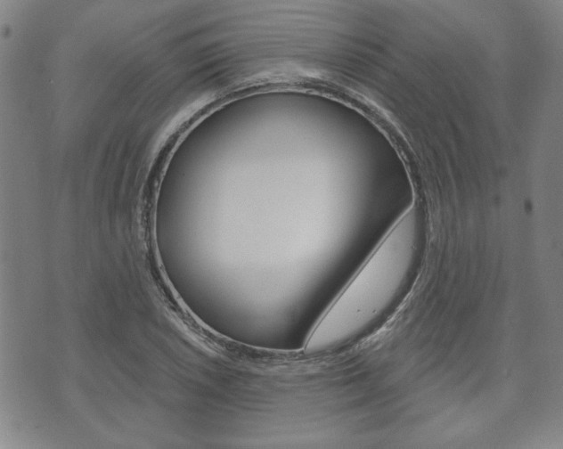 X0000073761026200608031105