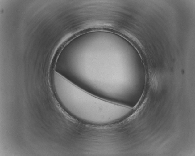 X0000073761029200608031105