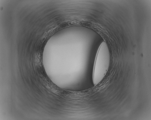 X0000073761060200608031105
