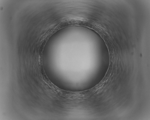 X0000073761061200608031105
