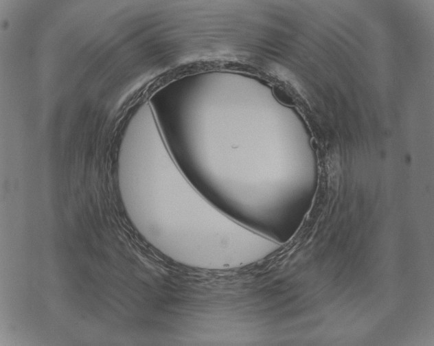 X0000073761064200608031105