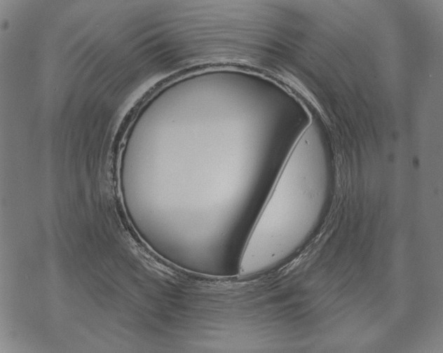 X0000073761068200608031104