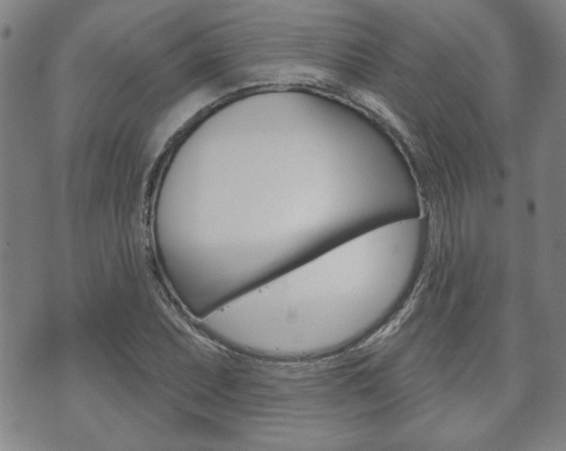 X0000073761071200608031104