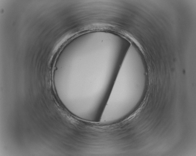 X0000073761075200608031104