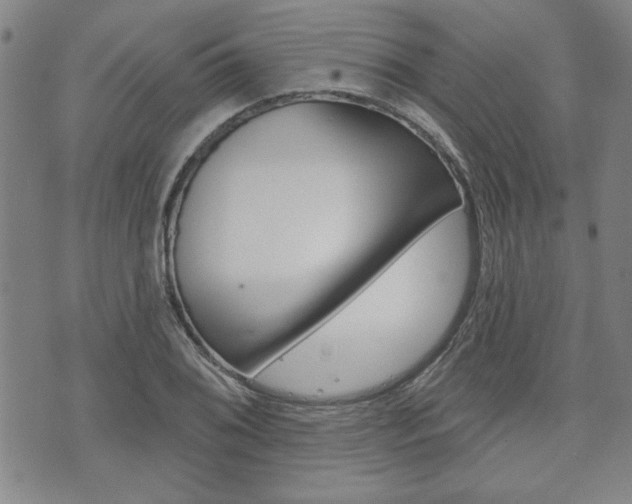 X0000073761076200608031104