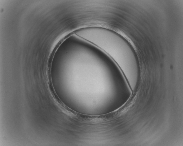 X0000073761085200608031104