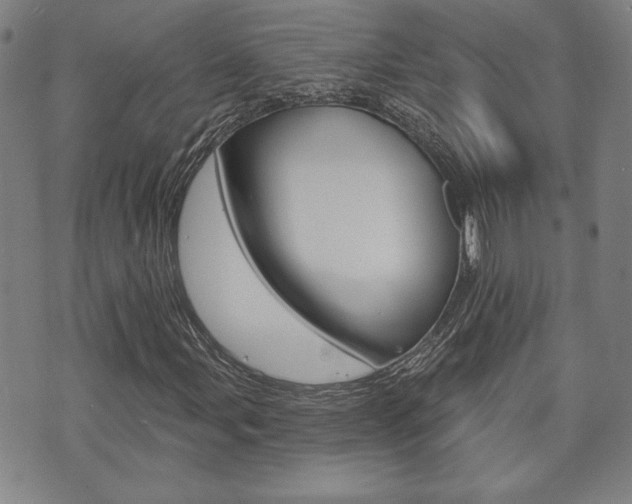 X0000073761107200608031103