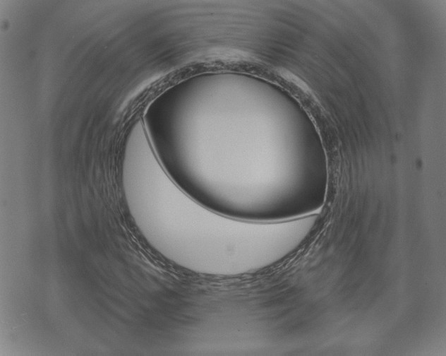 X0000073761112200608031103