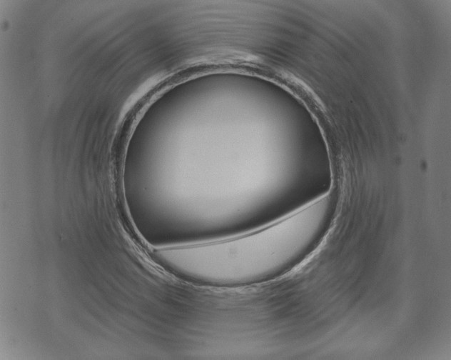 X0000073761114200608031103