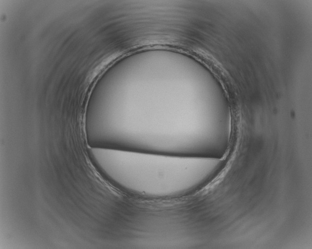 X0000073761121200608031103