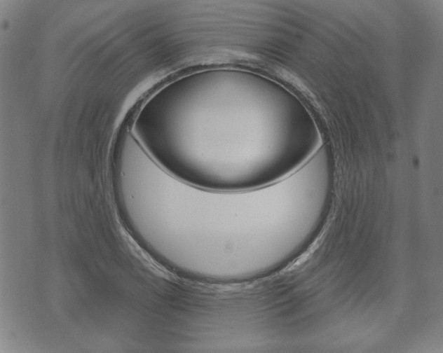 X0000073761122200608031103