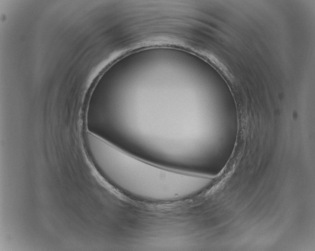 X0000073761134200608031104