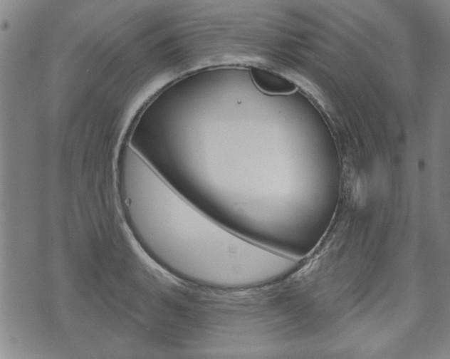 X0000073761135200608031104