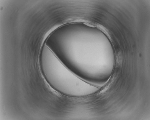 X0000073761149200608031104