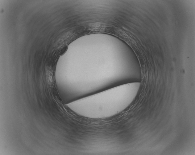 X0000073761154200608031103