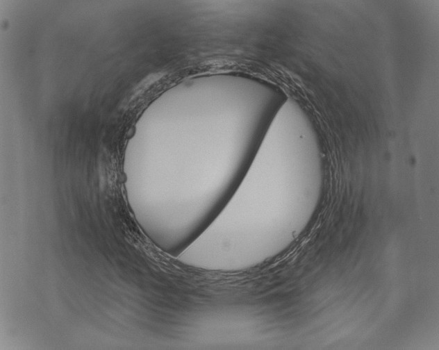 X0000073761158200608031103